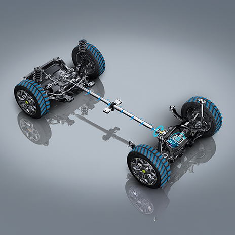 Borgwarner XWD 7 PLUS X Driving Mode