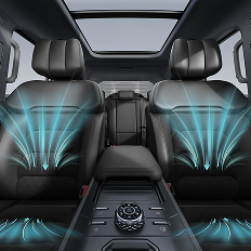 Cooled & Ventilated Seat